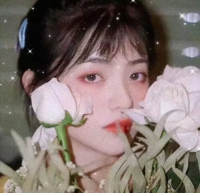 梦响唐人街